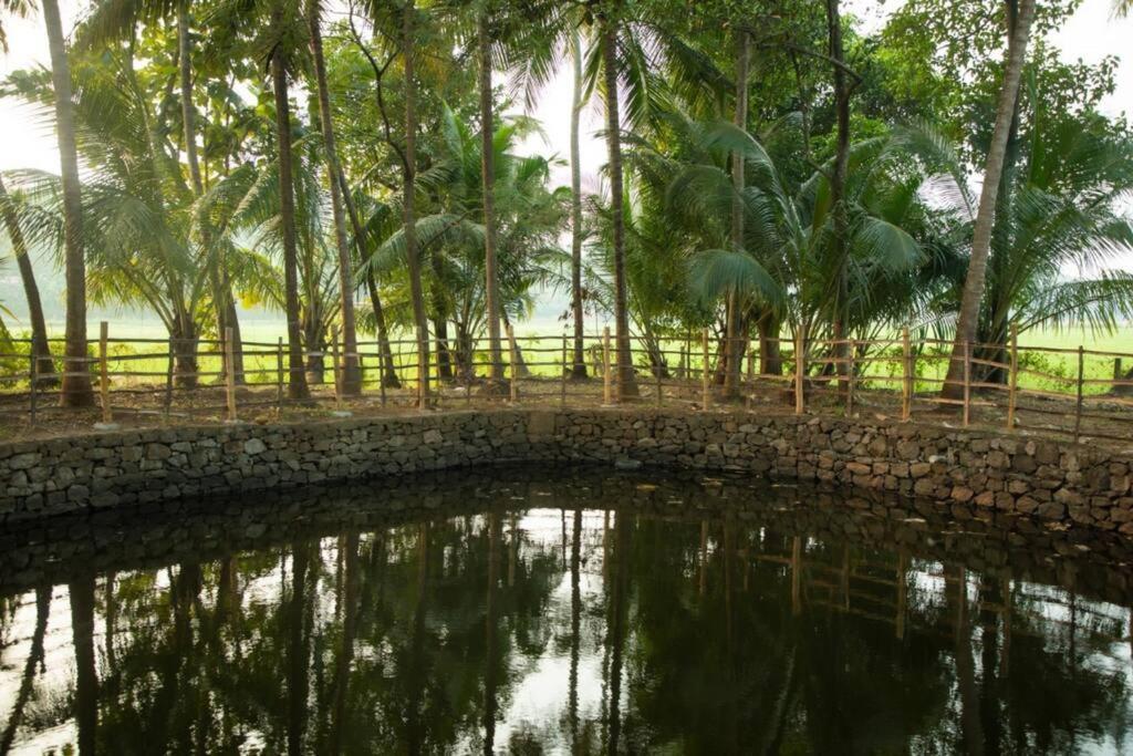 Heal Hive Homestay بلكاد المظهر الخارجي الصورة